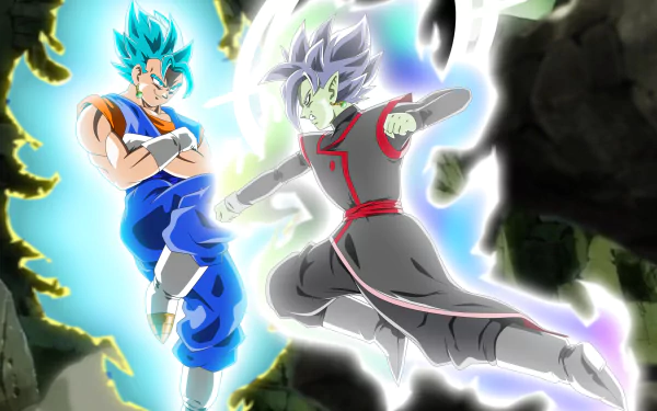 HD wallpaper featuring an intense battle between SSGSS Vegito and Zamasu from Dragon Ball Super. The vibrant and detailed anime artwork showcases the epic duel from the Dragon Ball series.