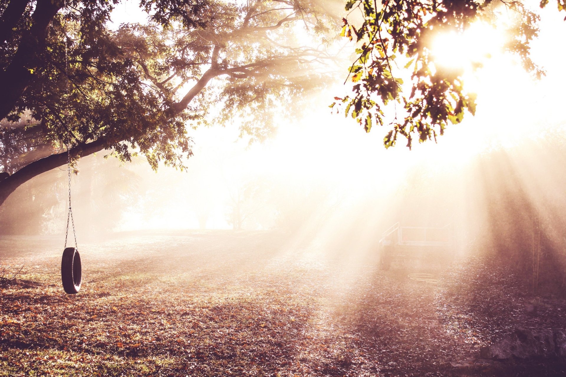 Download Sunny Tire Swing Nature Sunbeam HD Wallpaper