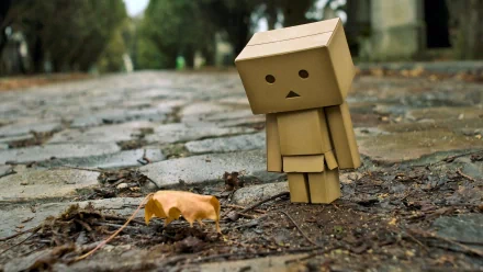 A charming Danbo figure stands on a cobblestone path, observing a fallen leaf in a serene outdoor setting, serving as an engaging HD desktop wallpaper and background.