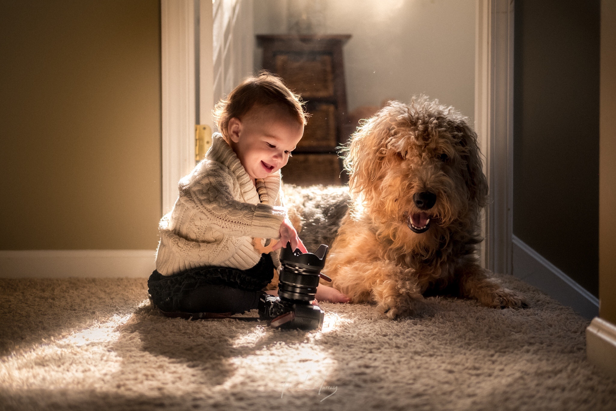 Мальчик играющий с собакой. Собака для детей. Детская фотосессия с собакой. Для детей. Животные. Фотосессия ребенка с собакой.
