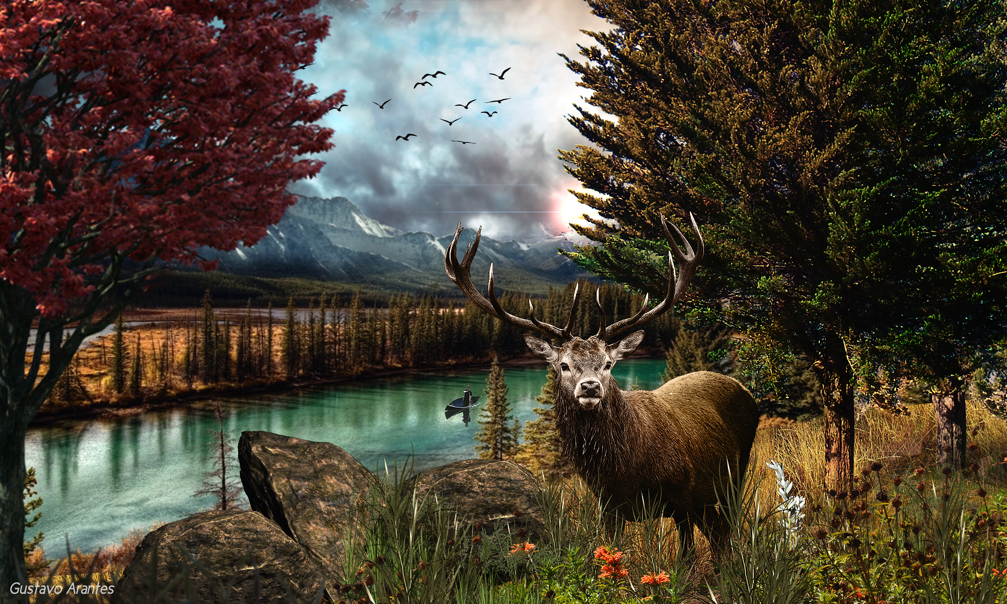 Buck in Mountain Forest by Gustavo Arantes