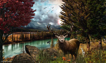  Buck in Mountain Forest by Gustavo Arantes