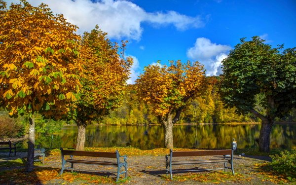 Photography Lake Lakes Earth Fall Tree Bench HD Wallpaper | Background Image