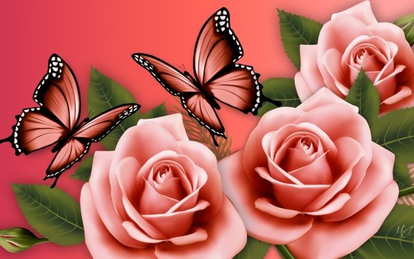 Artistic Rose Butterfly Pink Flower HD Wallpaper | Background Image