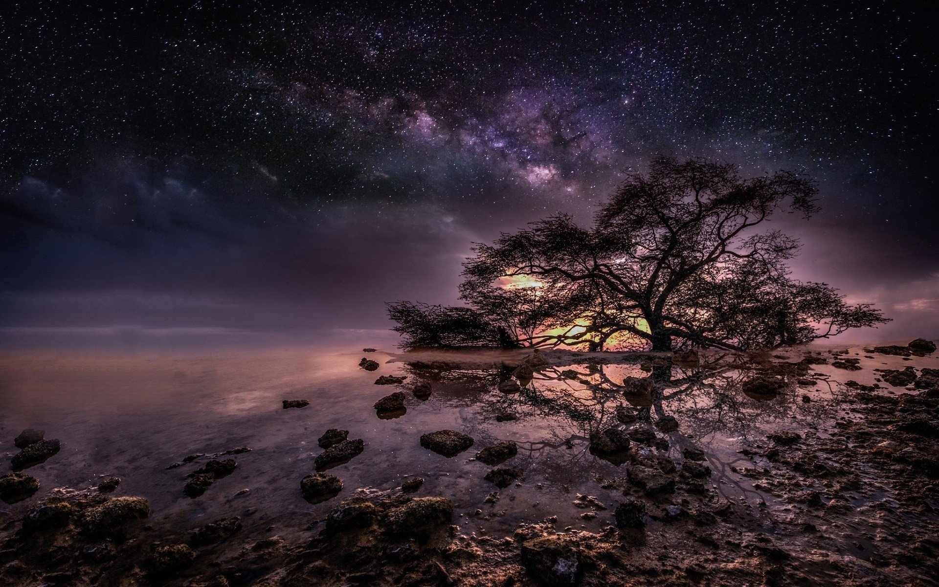 Ocean Tree Under Starry Sky 高清壁纸 桌面背景 19x10