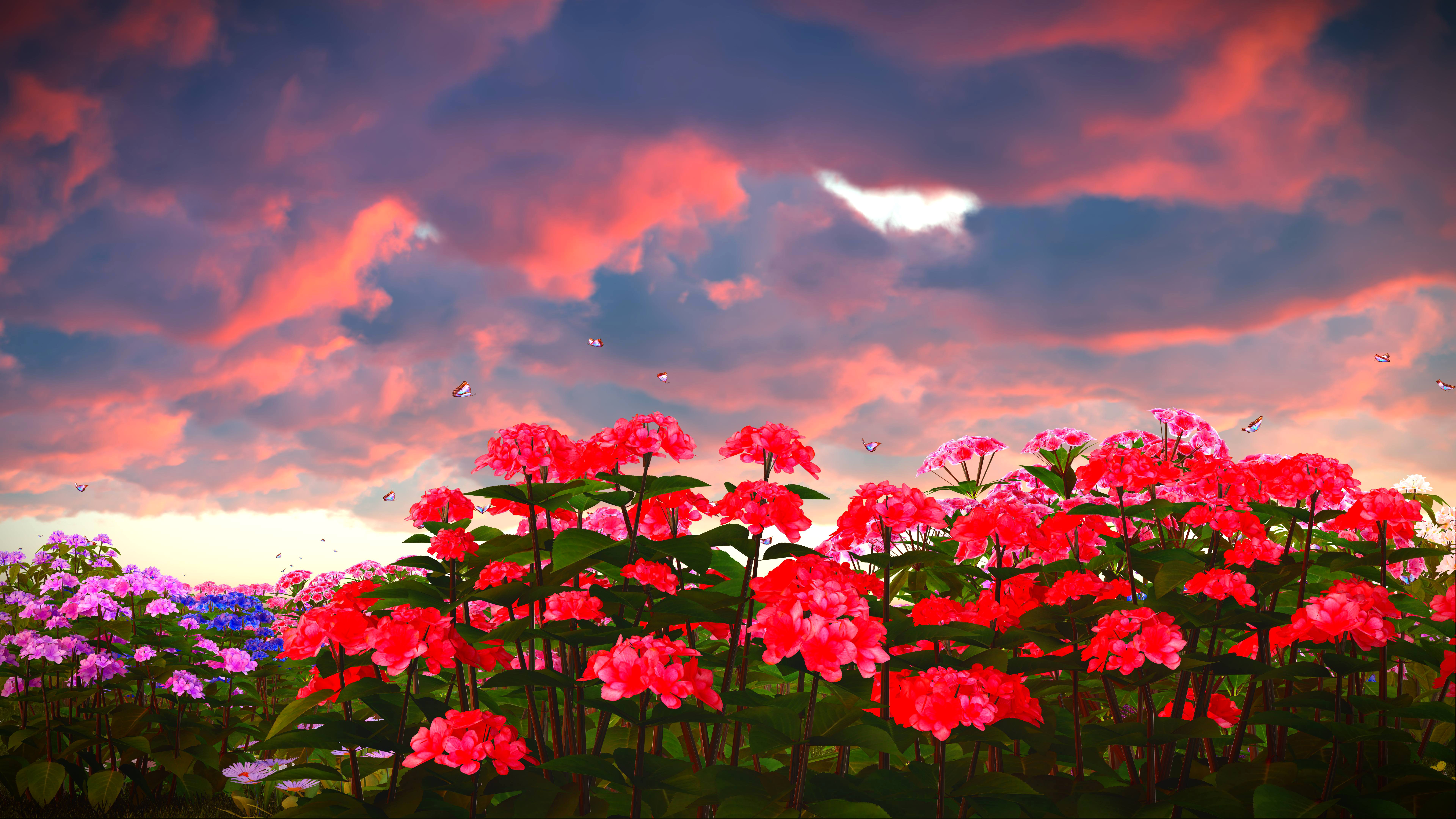 Flower Field at Sunset