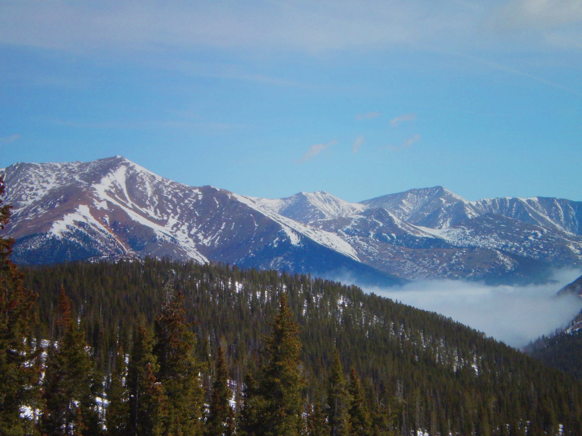 Snow-covered mountain peaks rise above a forested landscape under a clear blue sky, captured in a high-definition PC desktop wallpaper showcasing nature's winter beauty.