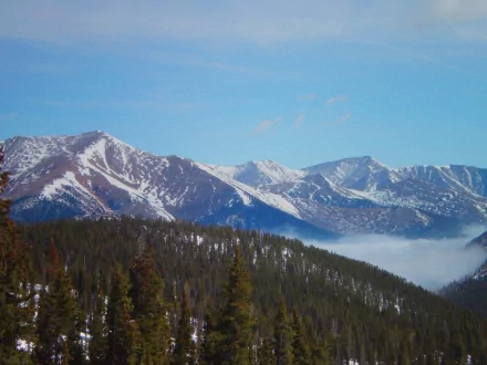 Snow-covered mountain peaks rise above a forested landscape under a clear blue sky, captured in a high-definition PC desktop wallpaper showcasing nature's winter beauty.
