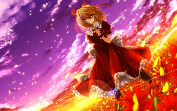 Anime Touhou Medicine Melancholy HD Wallpaper | Background Image