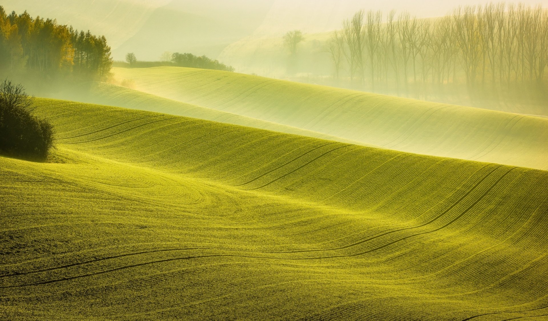 HD desktop wallpaper showing a foggy natural landscape with rolling green fields and distant trees enveloped in soft morning mist.
