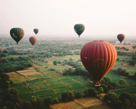 HD PC desktop wallpaper featuring a serene landscape with multiple hot air balloons floating above green fields and trees.