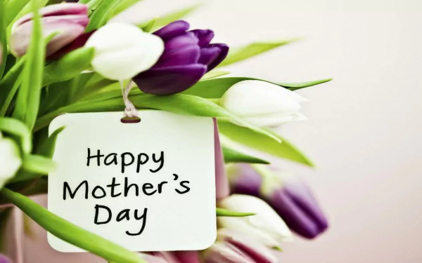 HD Wallpaper: Bouquet of purple and white tulips with a tag reading Happy Mother's Day.