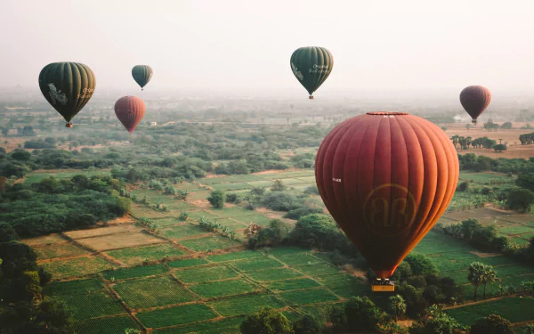HD PC desktop wallpaper featuring a serene landscape with multiple hot air balloons floating above green fields and trees.