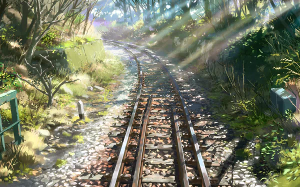 HD anime wallpaper from Children Who Chase Lost Voices featuring sunlit railroad tracks winding through a lush, vibrant forest.
