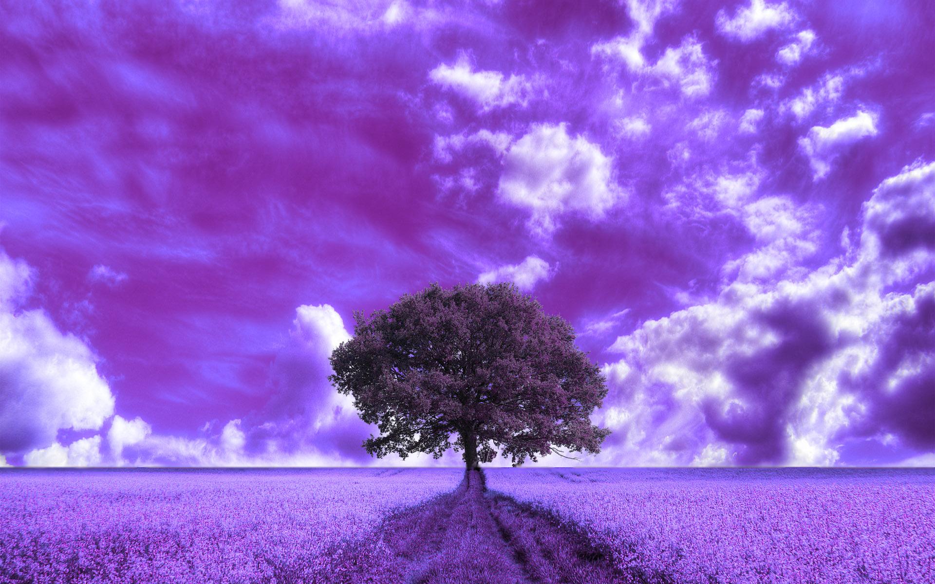 Glowing Purple Cloud Art Wallpaper HD Artist 4K Wallpapers Images Photos  and Background  Wallpapers Den