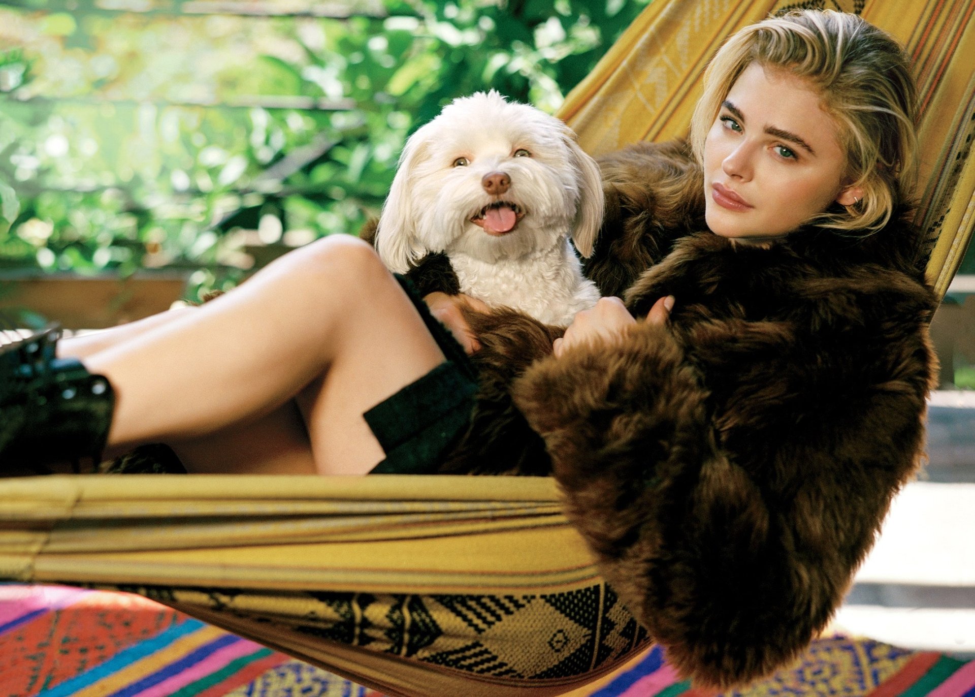 American actress Chloë Grace Moretz with blonde hair and green eyes relaxes in a hammock with a smiling dog, providing a serene HD desktop wallpaper and background.