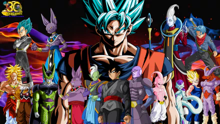 HD desktop wallpaper featuring various characters from Dragon Ball Super, showcasing vibrant and detailed anime illustrations.