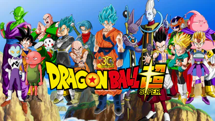 HD desktop wallpaper of Dragon Ball Super featuring various popular characters from the anime series, set against a vibrant and dynamic background.