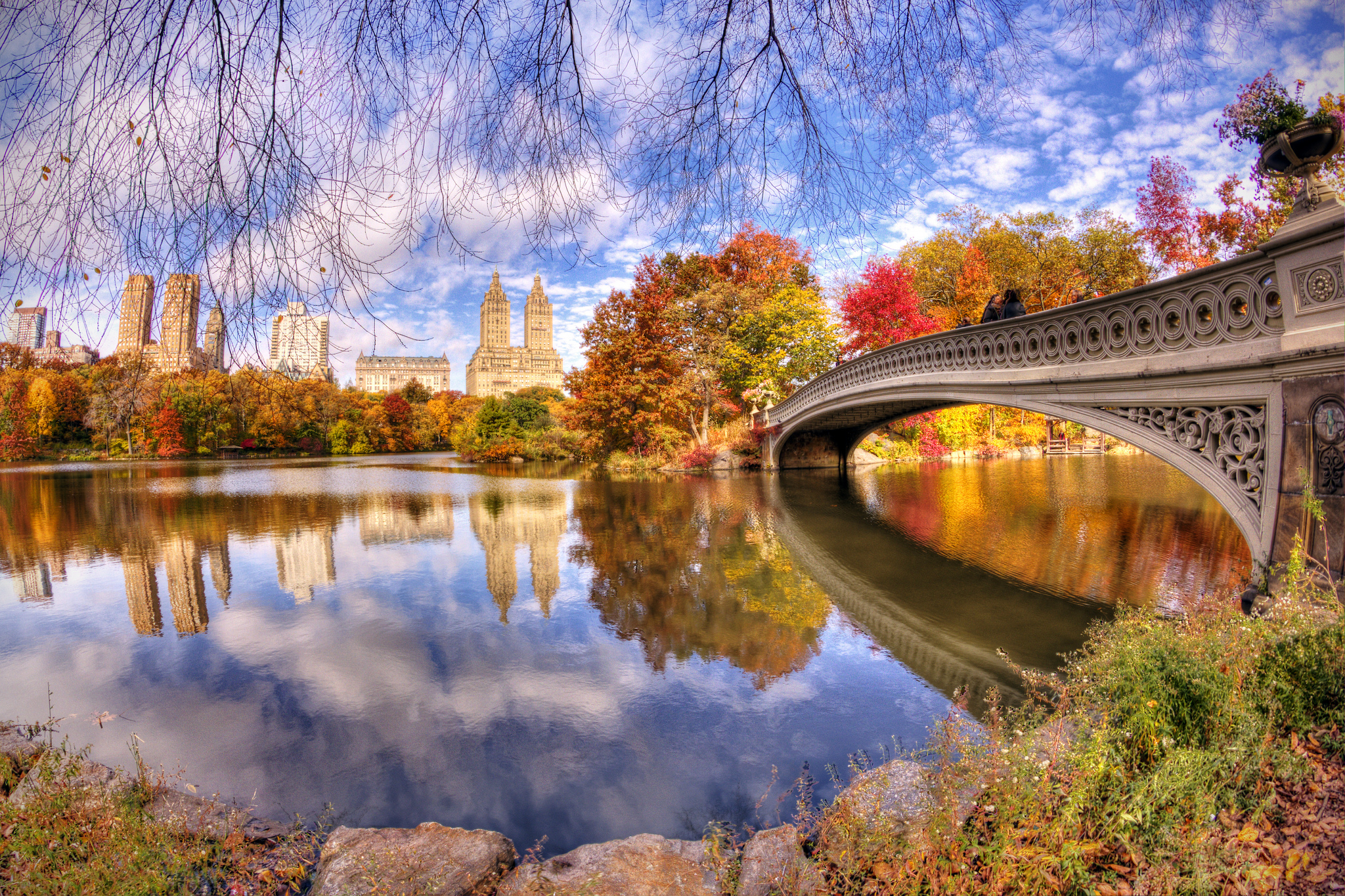 New York's Central Park in Autumn by Daniel Portalatin