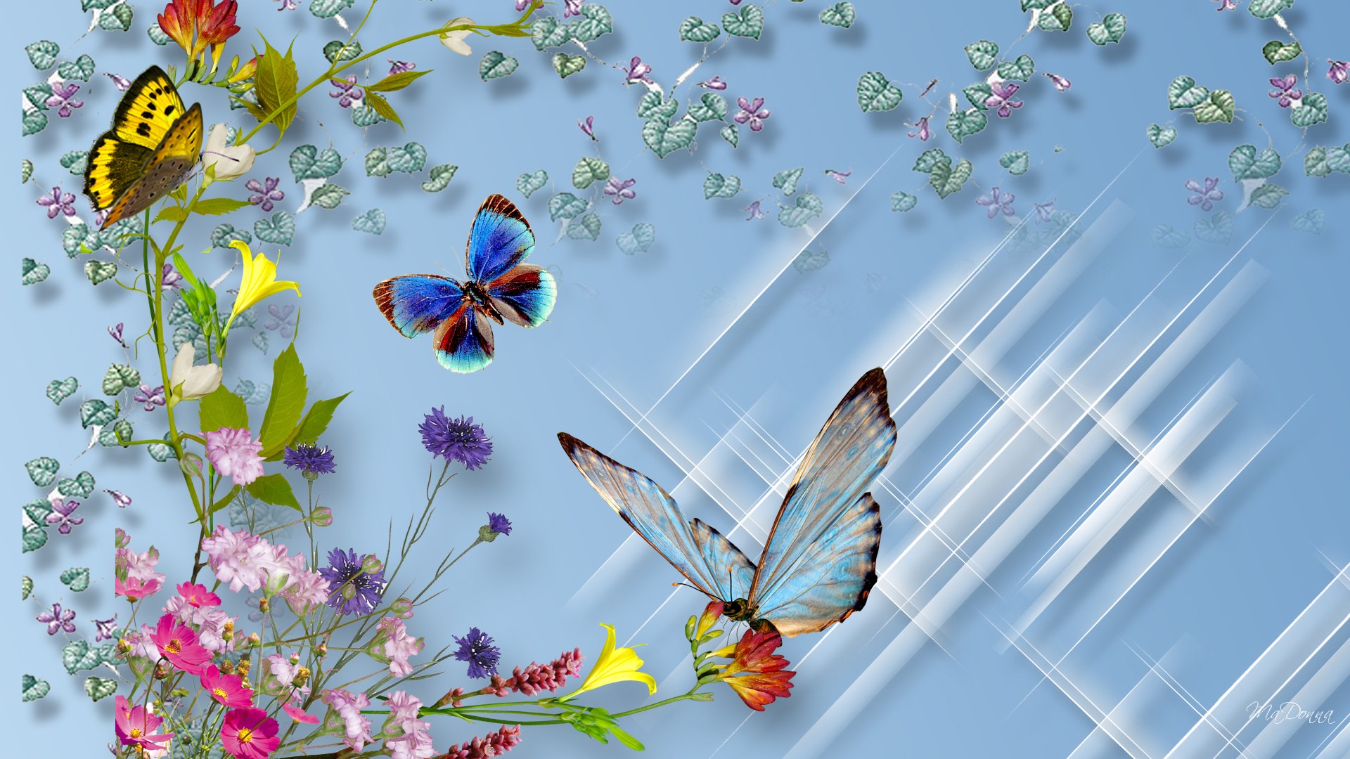 Butterflies And Flowers Hd Wallpaper Background Image