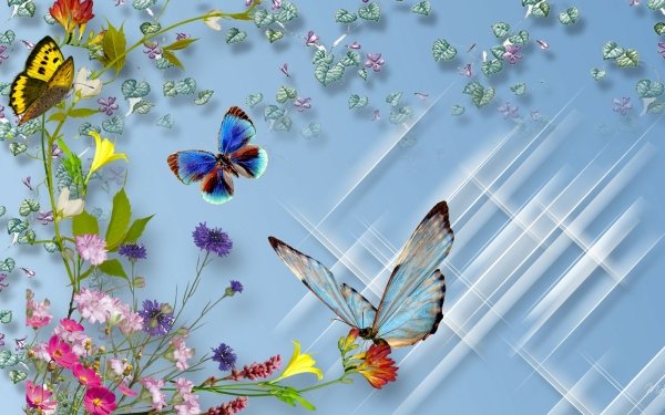 Artistic Butterfly Flower Colorful HD Wallpaper | Background Image