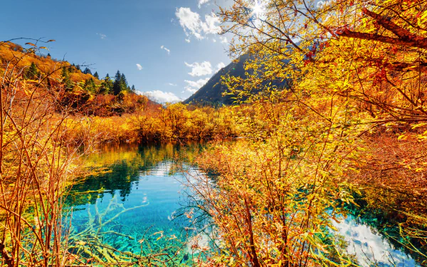 reflection fall turquoise nature lake HD Desktop Wallpaper | Background Image