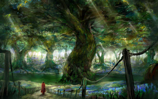 HD anime forest wallpaper depicting a large, ancient tree bathed in sunlight filtering through dense foliage, with a small figure in red standing nearby.