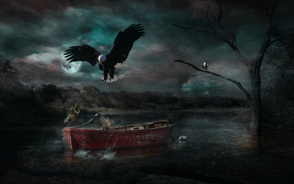 Fantasy Bird Fantasy Animals Eagle HD Wallpaper | Background Image