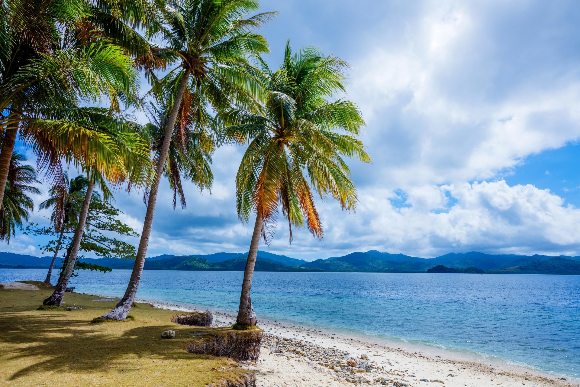 Download Tropical Mountain Nature Palm Tree Sand Philippines Cloud ...