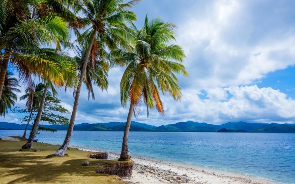 Earth Beach Cloud Philippines Sand Palm Tree Nature Mountain Tropical HD Wallpaper | Background Image