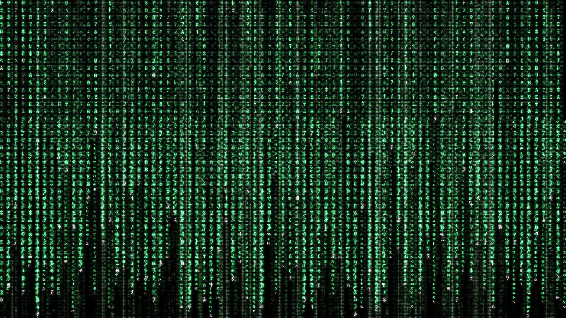 The Matrix Full HD Papel de Parede and Planos de Fundo | 1920x1080 | ID