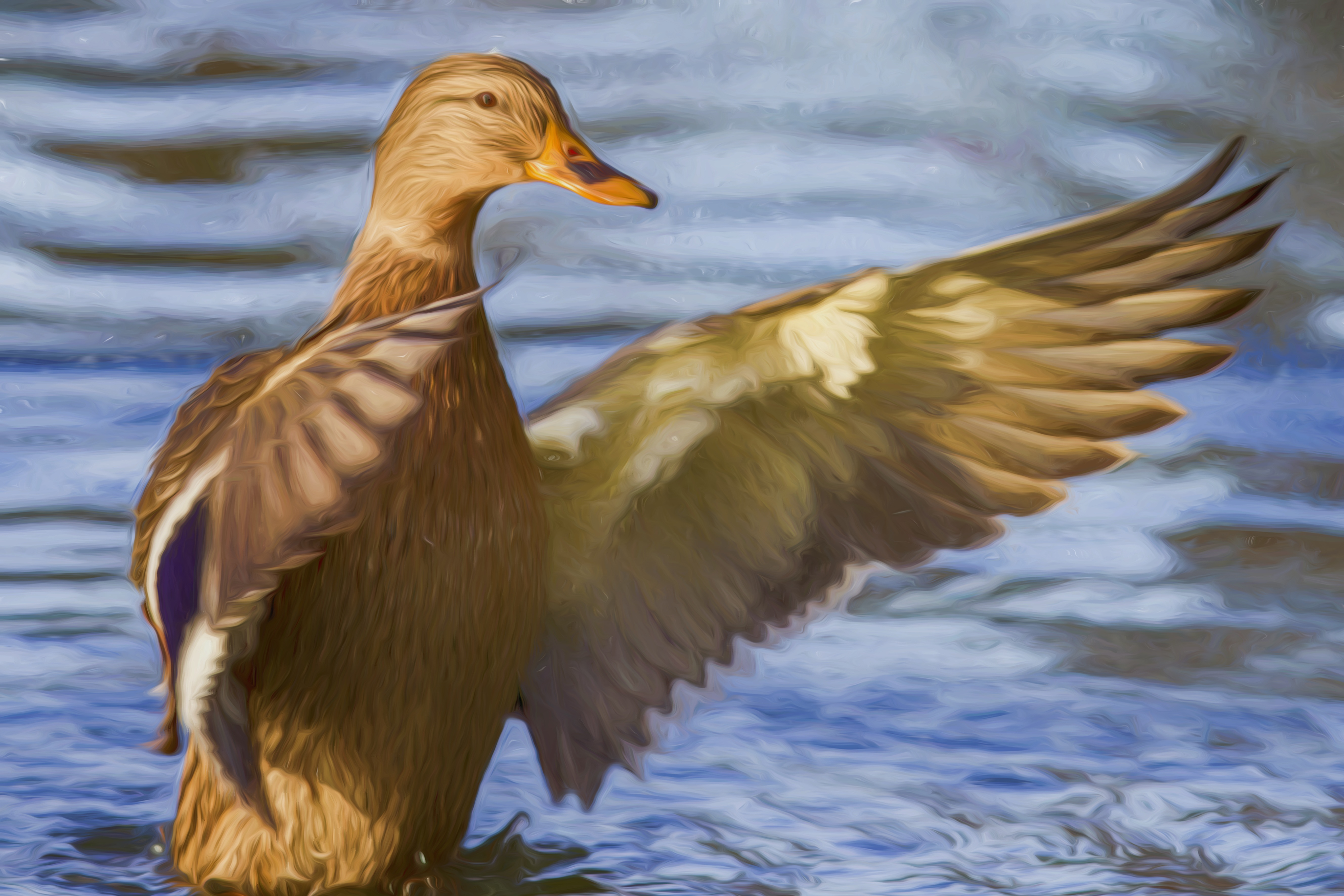Mallard Duck, done with an oil paint filter by Hans Benn