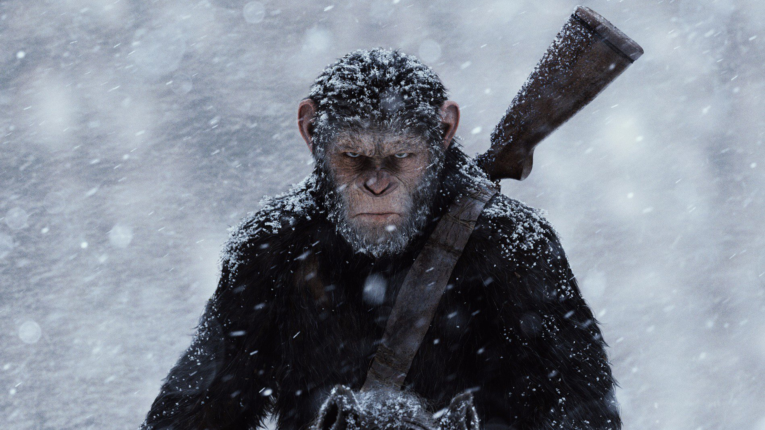 20+ War For The Planet Of The Apes HD Wallpapers and Backgrounds