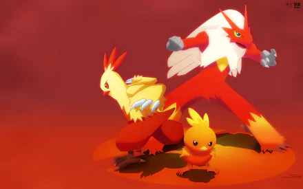 HD desktop wallpaper featuring Blaziken, Combusken, and Torchic from Pokémon, set against a fiery red background. The anime-style artwork showcases these Fire-type Pokémon in vivid detail.