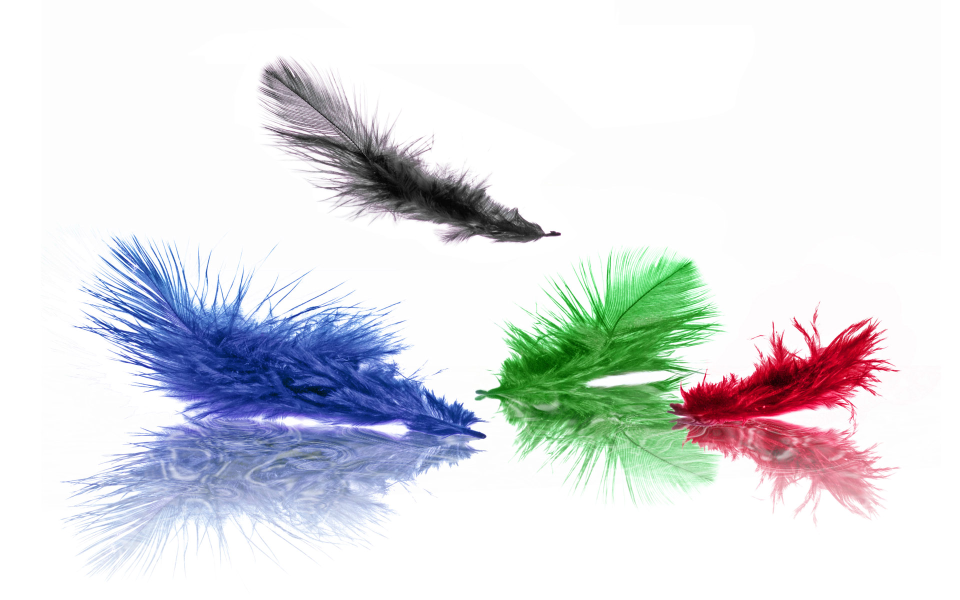 Artistic Feather HD Wallpaper | Background Image