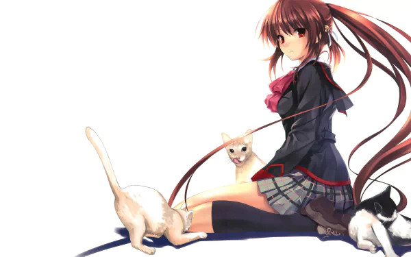 Anime Little Busters! HD Desktop Wallpaper | Background Image