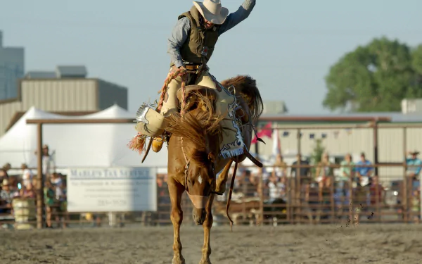  Riding a bucking bronco