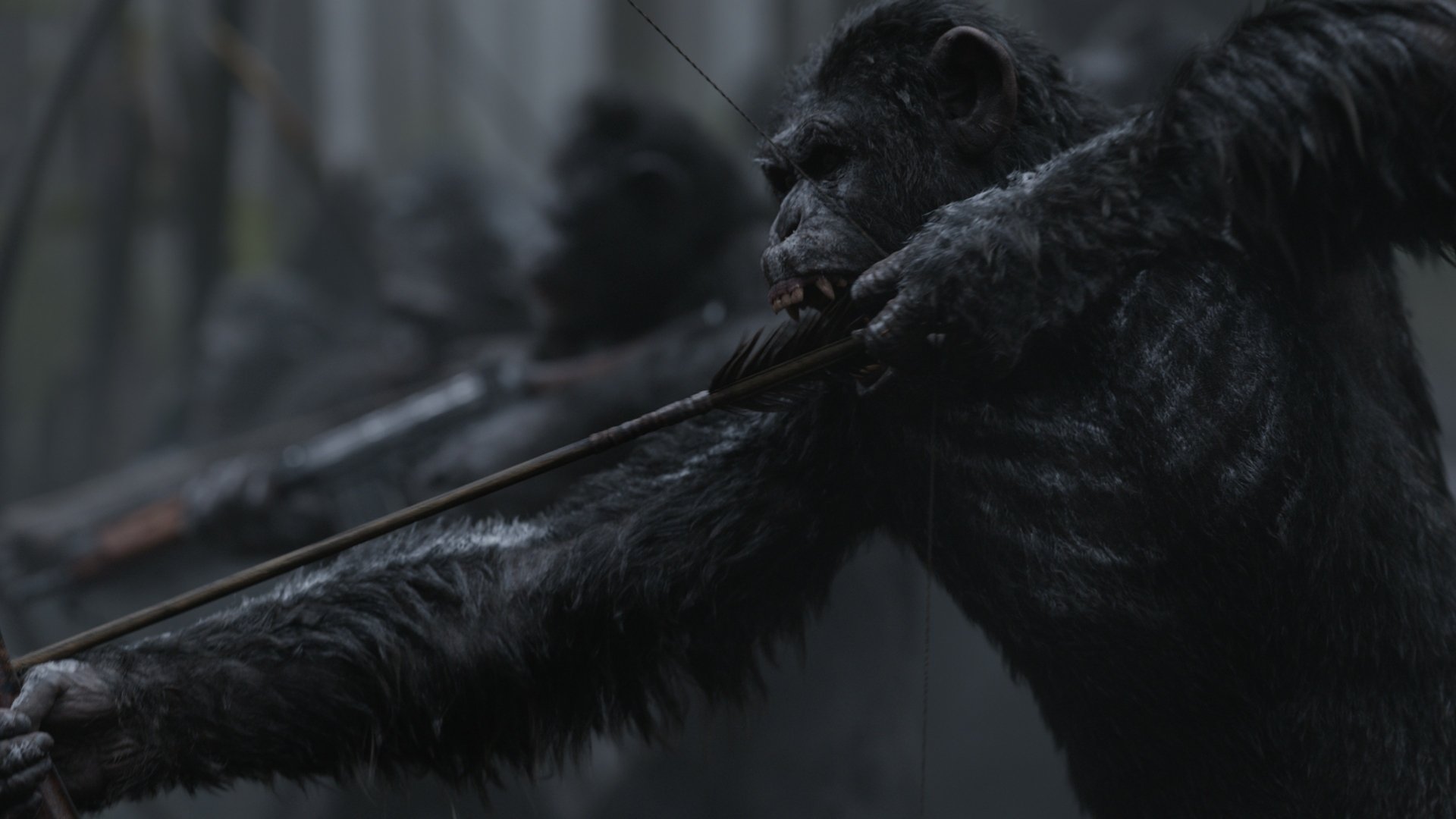 HD desktop wallpaper from the movie War For The Planet Of The Apes, featuring a tense scene of apes readying their bow and arrows in a dark, foreboding environment.