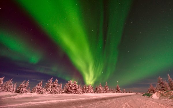 Earth Aurora Borealis Nature Winter Snow Night Starry Sky Light HD Wallpaper | Background Image