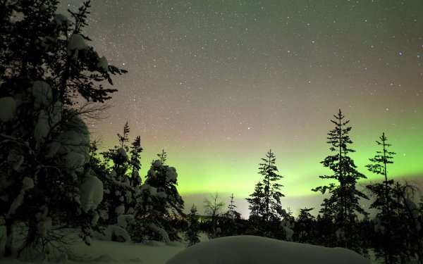 Nature Winter Forest Snow Aurora Borealis Finland Stars HD Wallpaper | Background Image