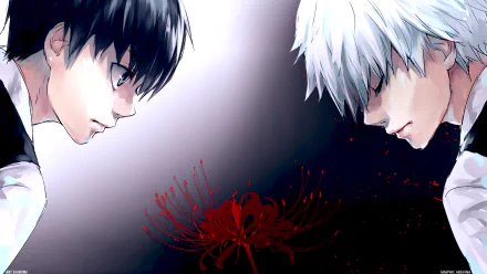 HD desktop wallpaper featuring Ken Kaneki from Tokyo Ghoul, with black and white hair, grey eyes, and a red flower in the center. The intense anime art contrasts the two sides of his character.