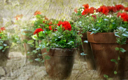 red flower man made flower HD Desktop Wallpaper | Background Image