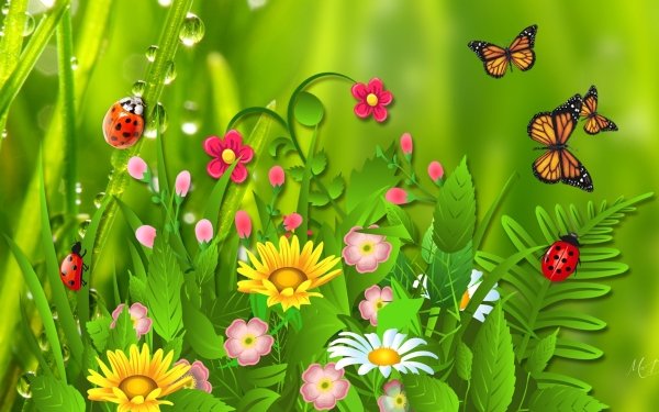 Artistic Nature Spring Flower Butterfly Grass Ladybug HD Wallpaper | Background Image