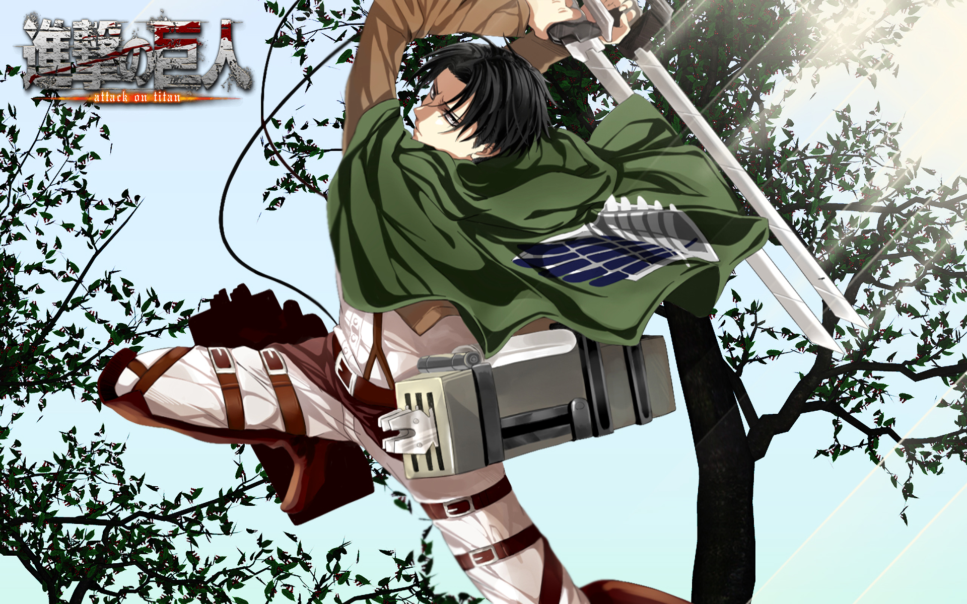 Download Attack On Titan Levi Ackerman Anime HD Wallpaper