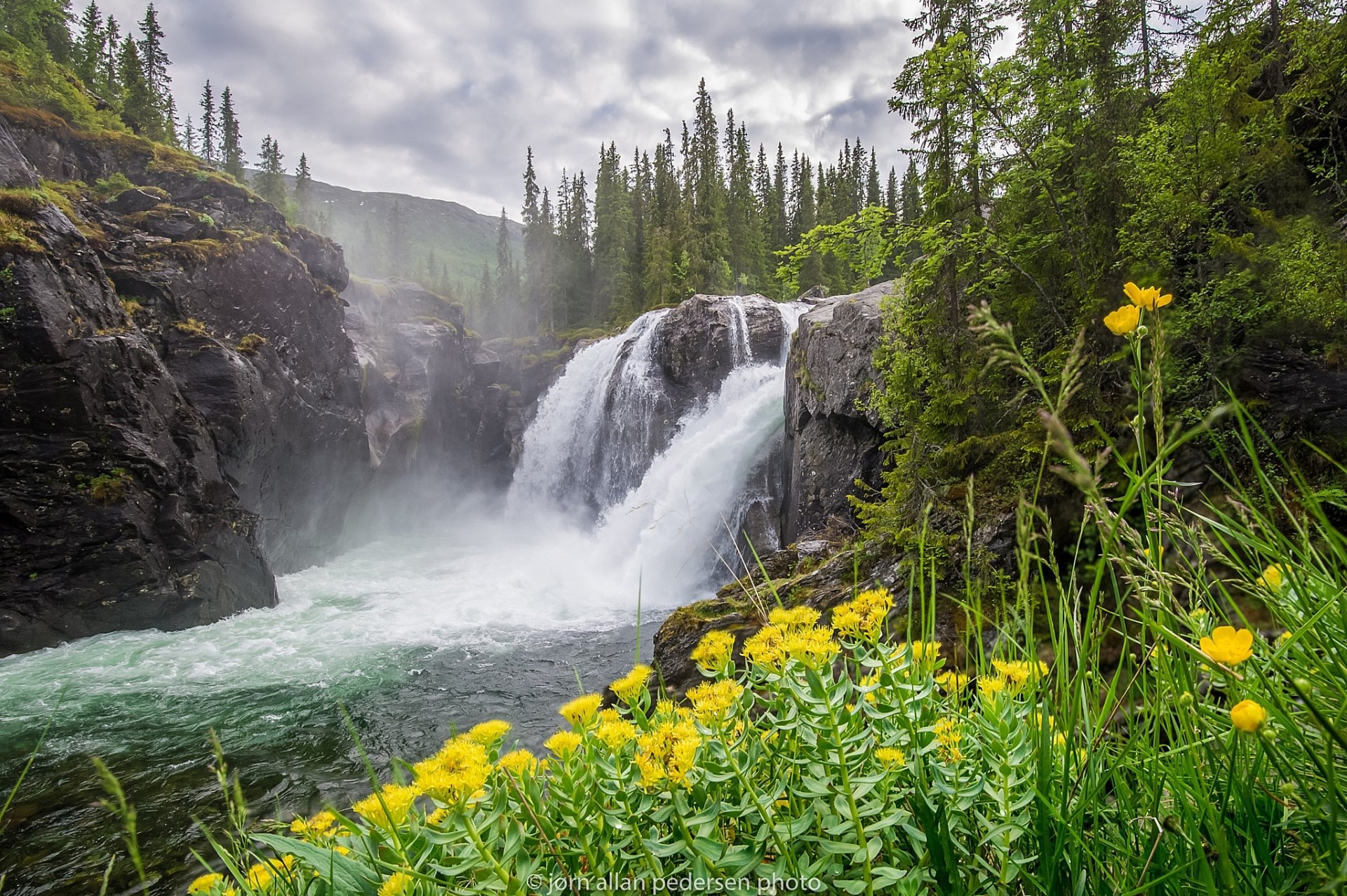 Download Forest Tree Flower River Nature Waterfall HD Wallpaper by Jørn Allan Pedersen