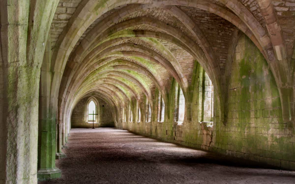  Monks Cellarium at Fountains Abbey - this is were they stored food by Tim Fields