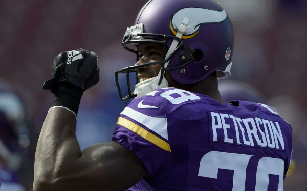 HD wallpaper of a player in a purple Vikings jersey with PETERSON on the back, poised for action on the field.