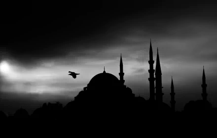night silhouette Istanbul mosque religious Süleymaniye Mosque HD Desktop Wallpaper | Background Image