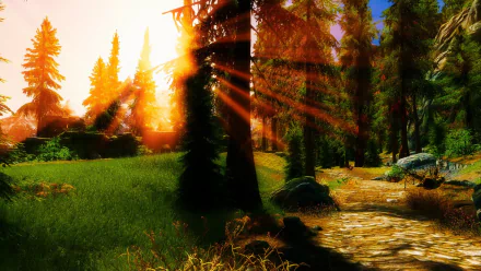 Sunbeams filter through a dense forest in a vibrant nature scene from The Elder Scrolls V: Skyrim, captured as an HD PC desktop wallpaper and background.
