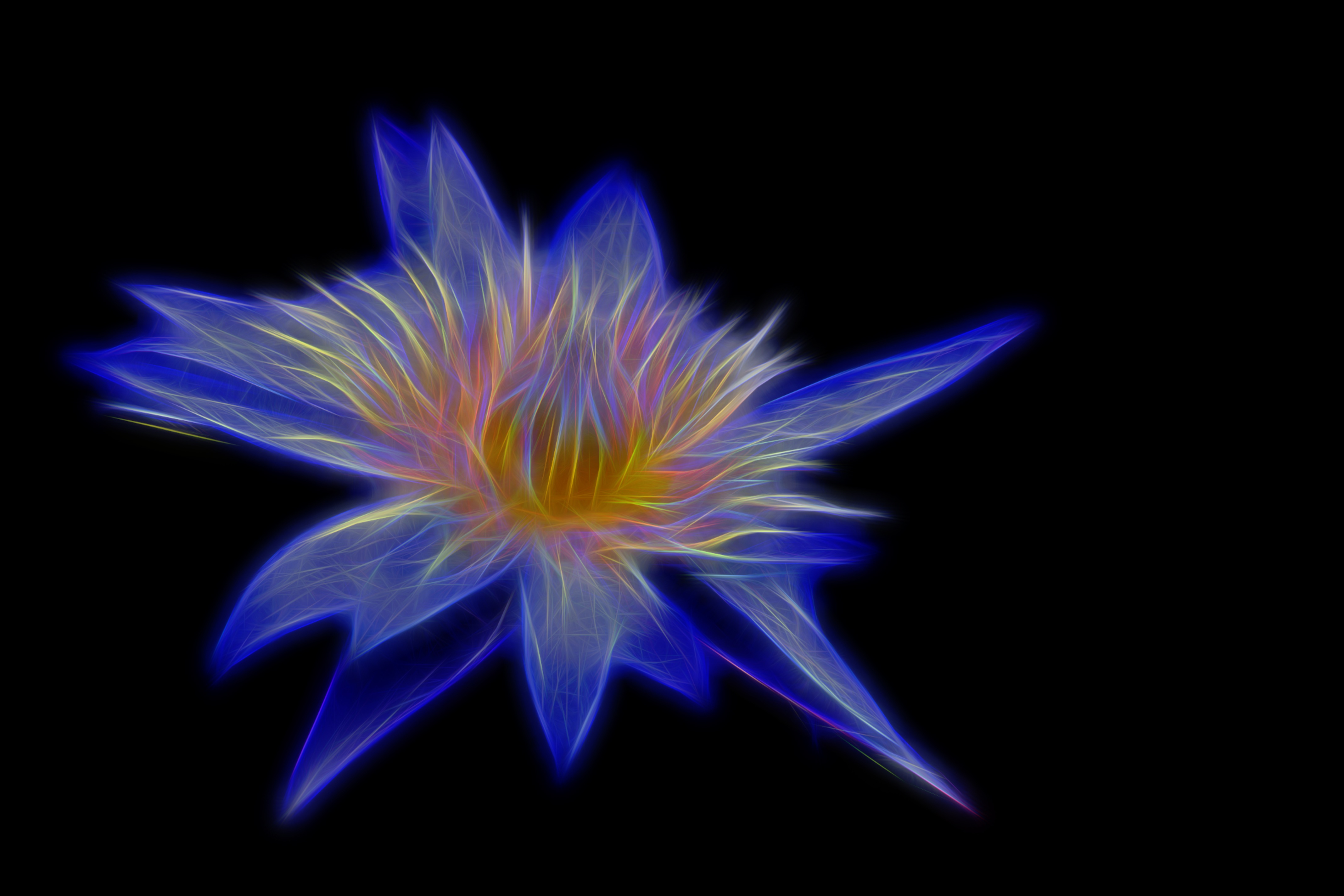 Fractal Flower 4k Ultra HD Wallpaper | Background Image | 4272x2848 | ID:789776 - Wallpaper Abyss